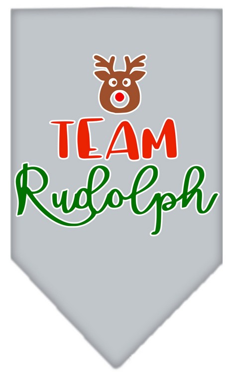 Team Rudolph Screen Print Bandana Grey Large